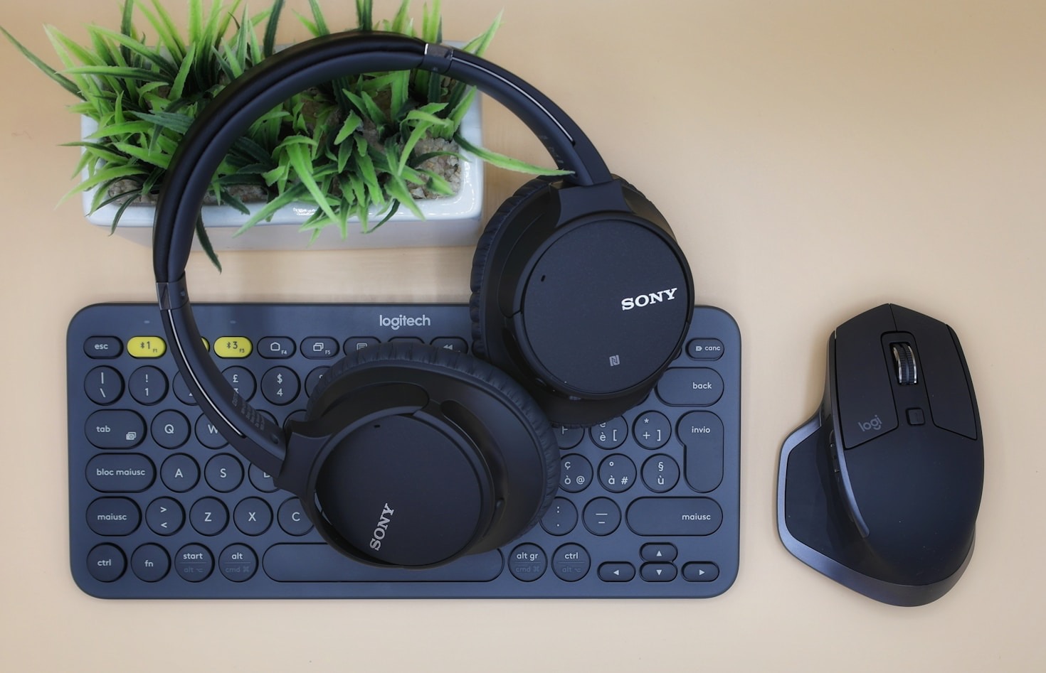 Essential Skills for Aspiring Tech Professionals